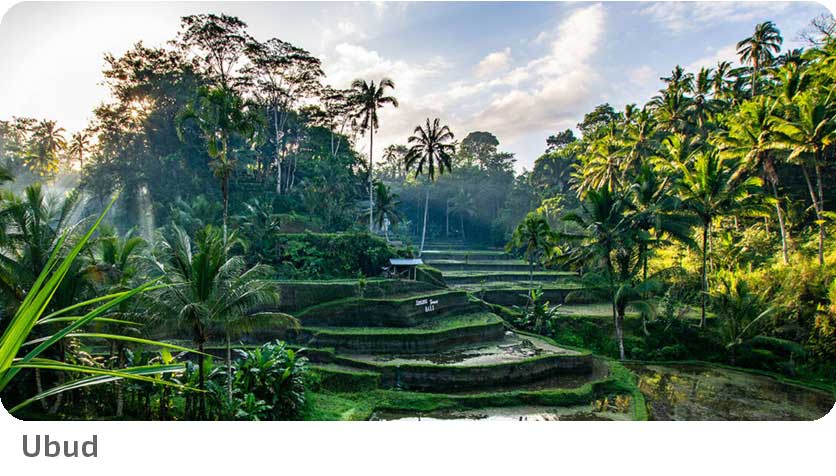 aerial-view-container-cargo-ship-sea-(1)